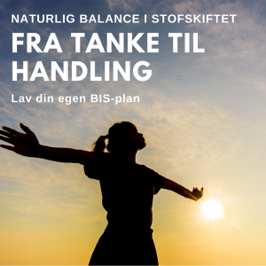 Få styr på dit stofskifte Fra tanke til handling Lav din egen BIS-plan-5